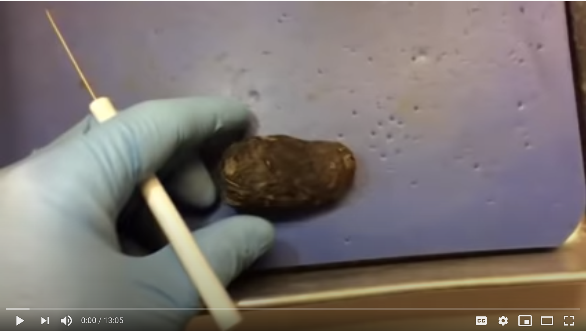 Pellet dissection video