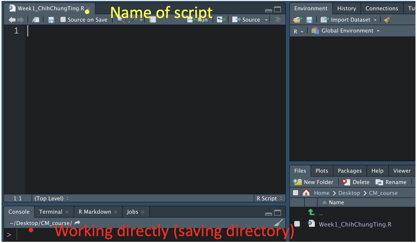 Create and save script