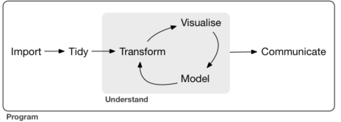 The flow of a significant data analysis project.