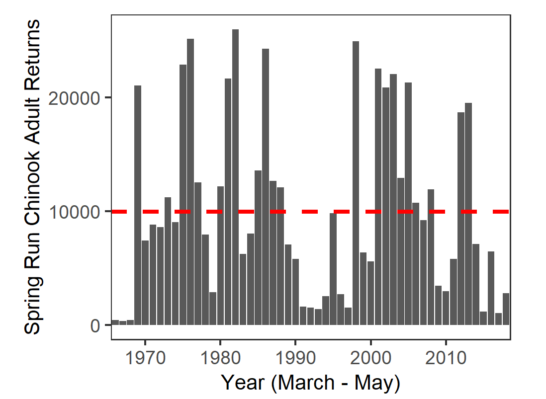 Graph of average adult chinook returns from 1966 to 2018. Values range from 1000 to 250000.