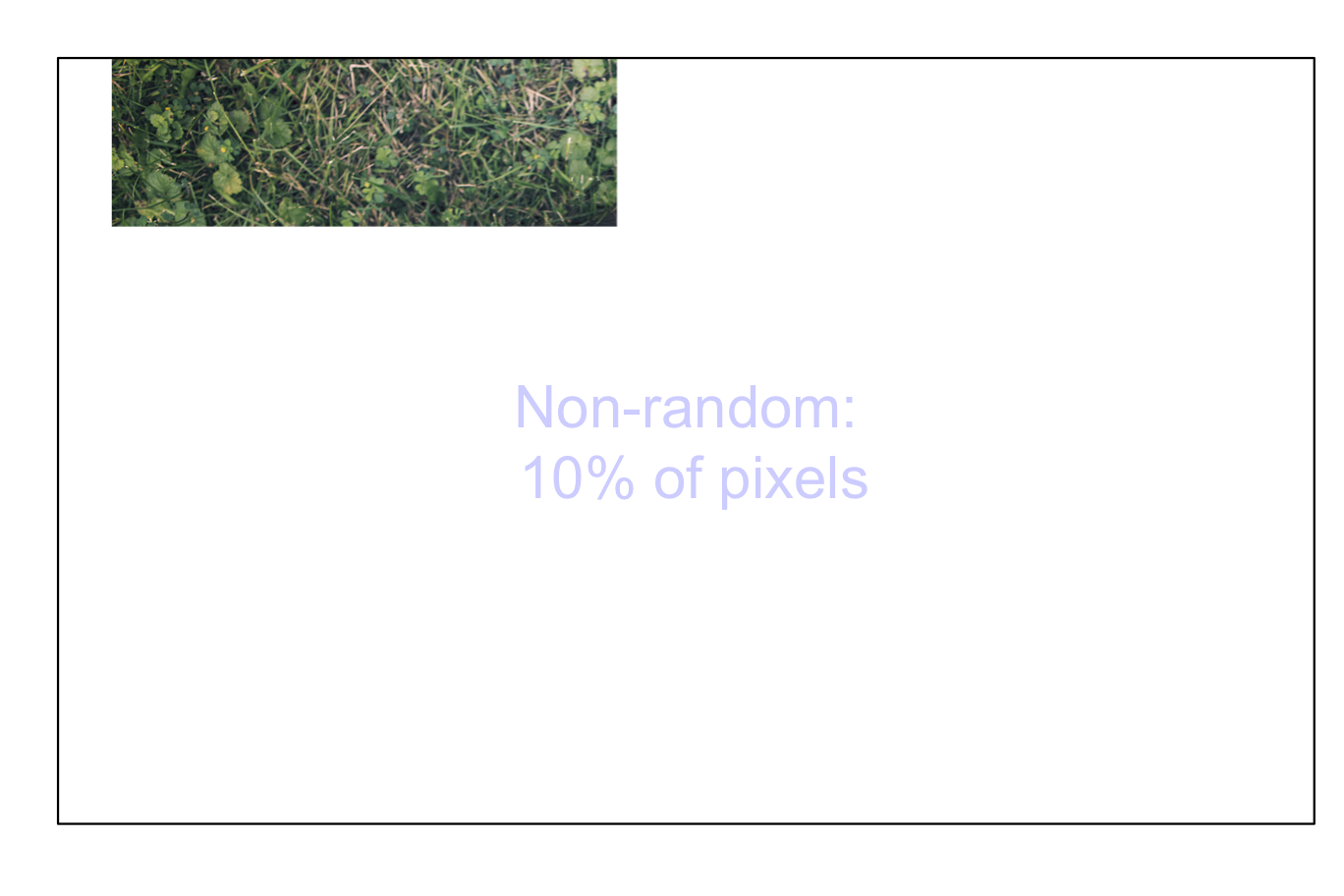 Non-random samples from an image: 5 percent of pixels (top left); 10 percent of pixels (top right); 25 percent of pixels (bottom left); 50 percent of pixels (bottom right)