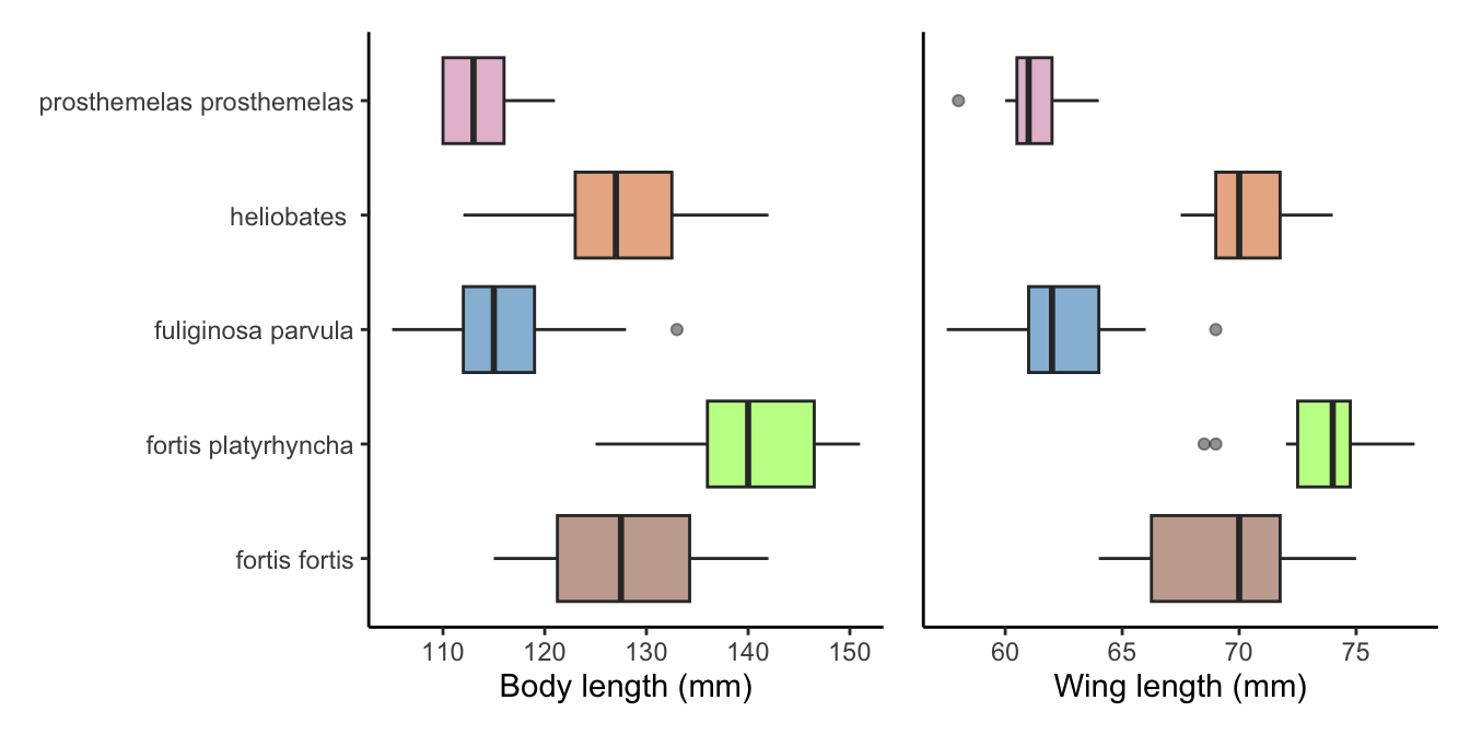 Body and wing lengths for the five species from Isabela Island