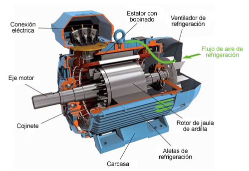 Motor de inducción