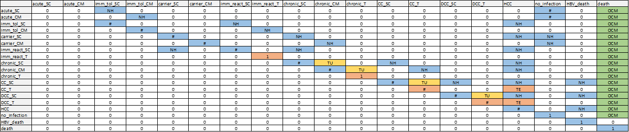 Transition matrix schematic for HBV.