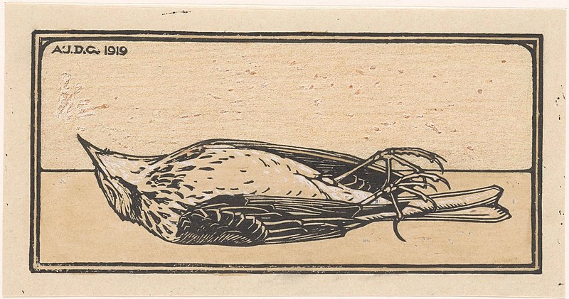 Voorbeeld van een dood vogeltje. Rijksmuseum, CC0, via Wikimedia Commons