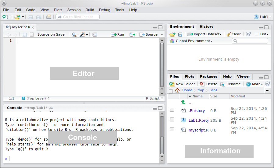 RStudio User Guide - Text Editor