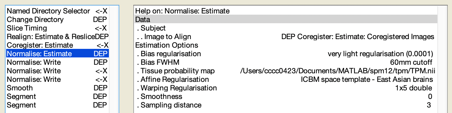 注意 `Normalise: Estimate` 中的 `Image to Align`、`Tissue probability map` 與 `Affine Regularisation`。