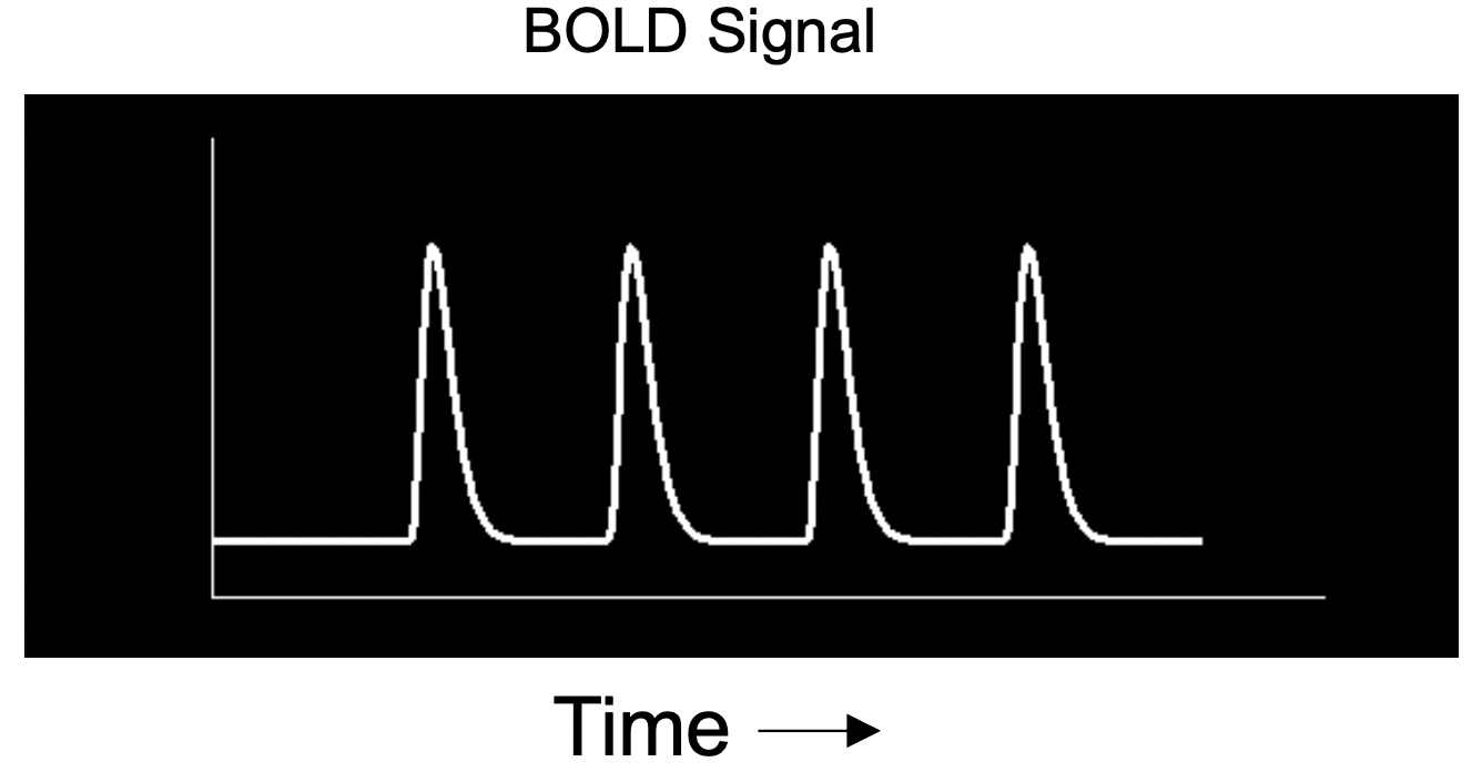 After convolution, we can get the BOLD signal.