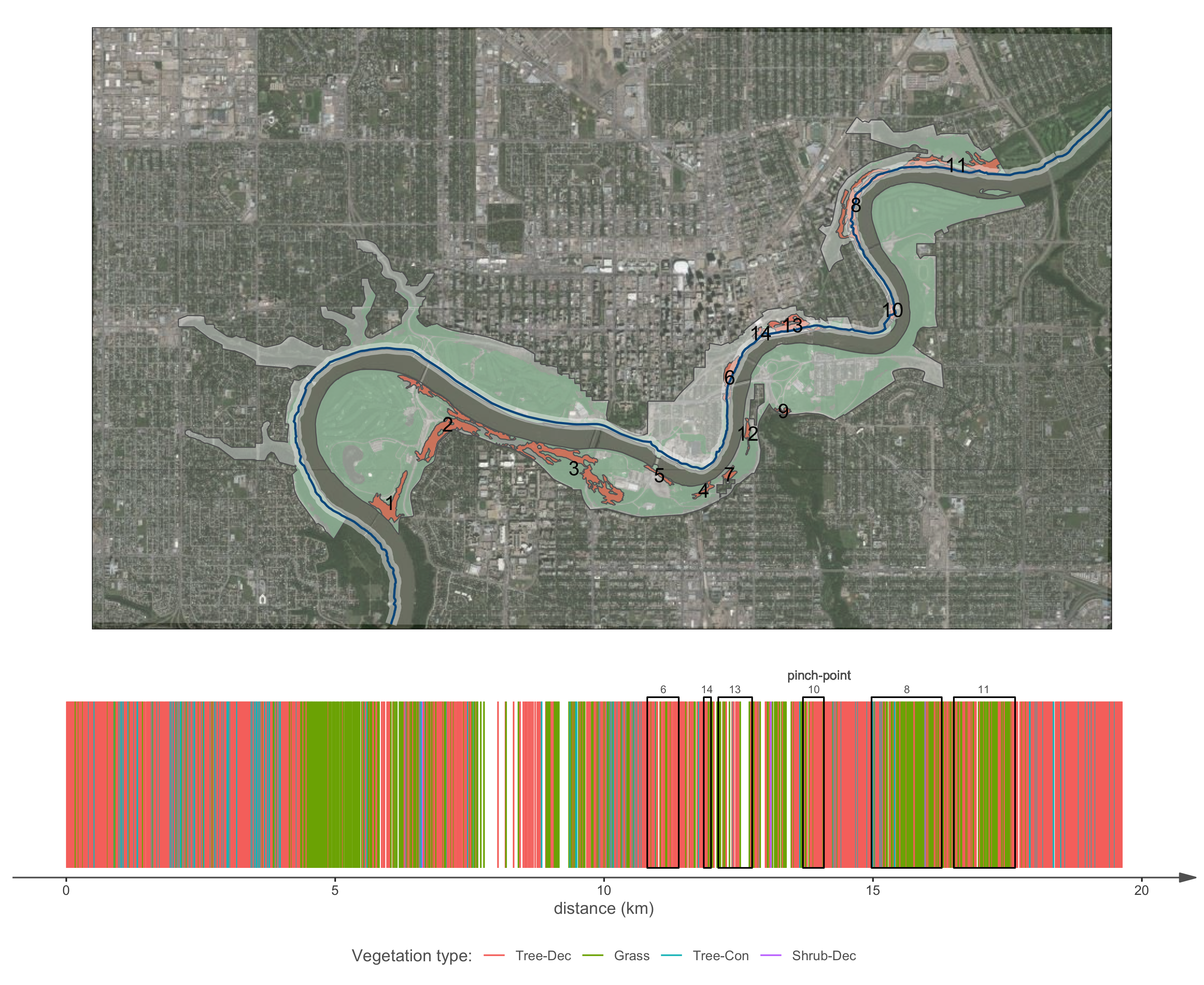 Vegetation classes along northern cross-section line.