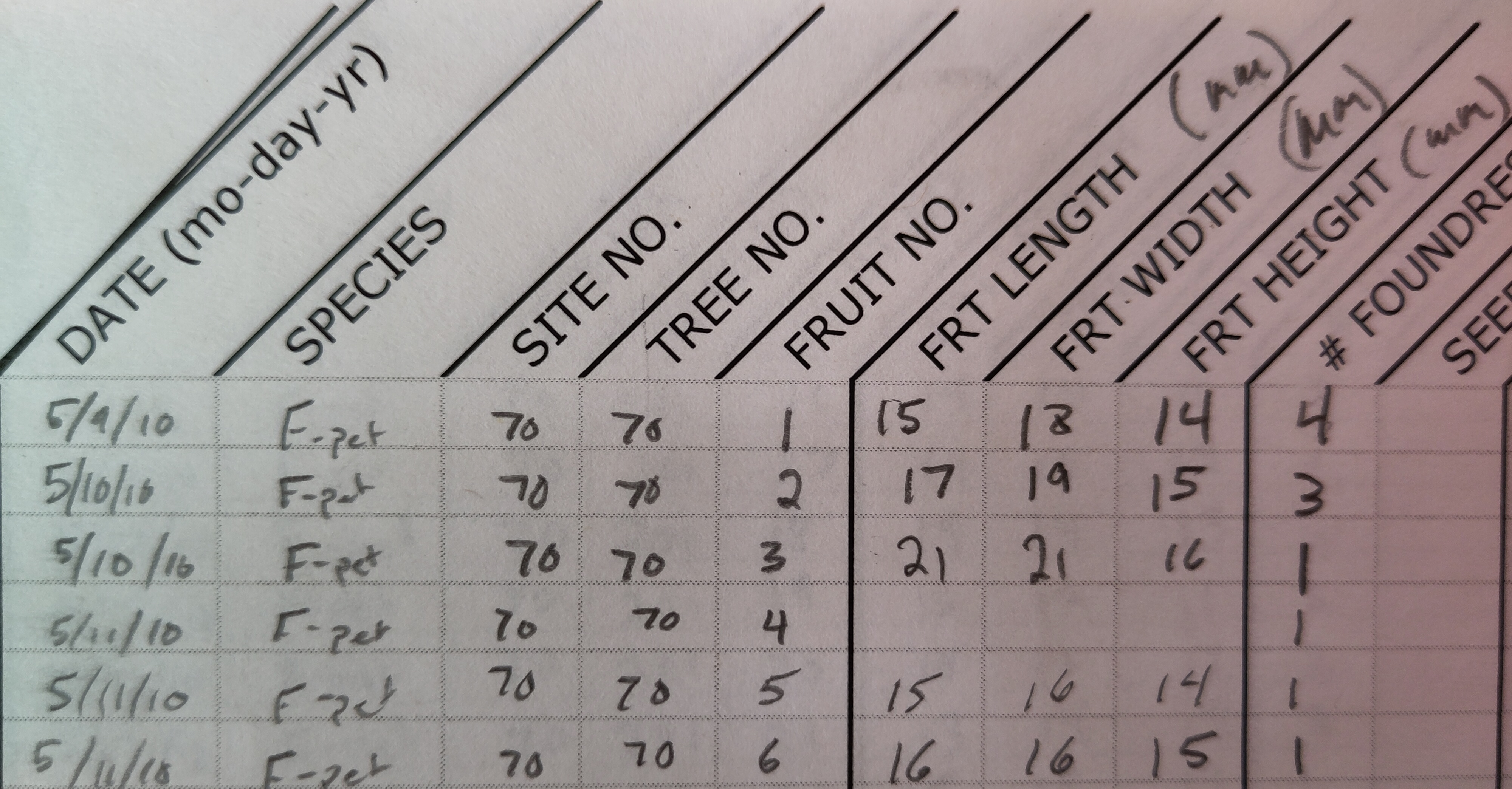 A zoomed-in portion of a lab notebook is shown, which includes handwritten data in pencil observations of mature fig fruits, including date, species, site, tree, and fruit dimensions.