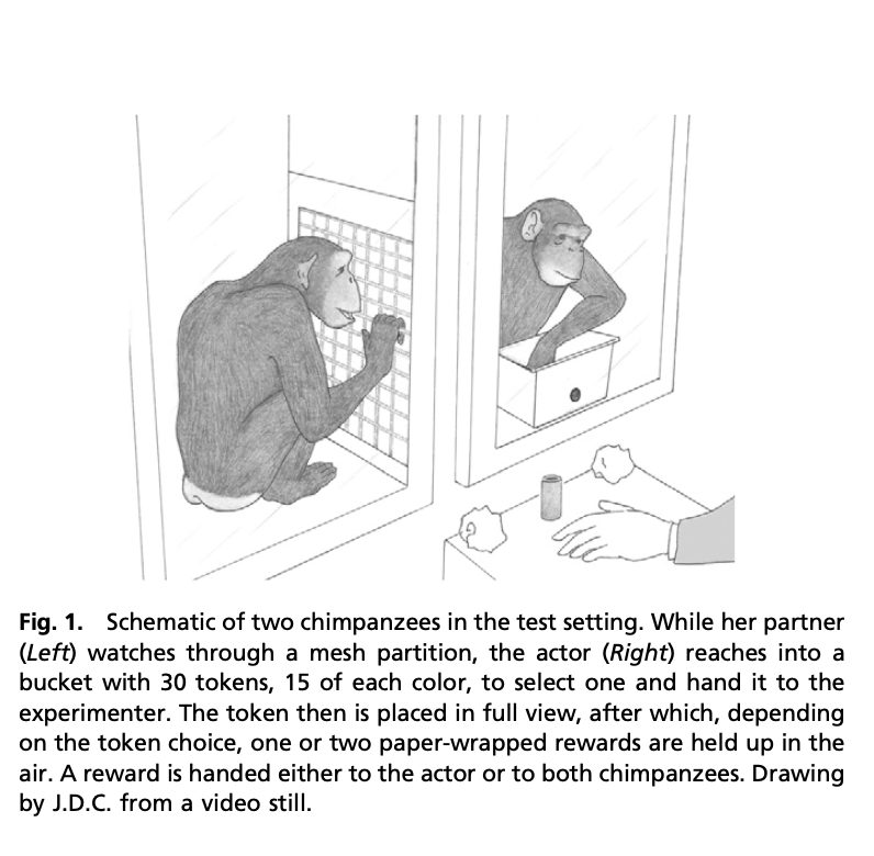 Figure from Holder et al., 2011