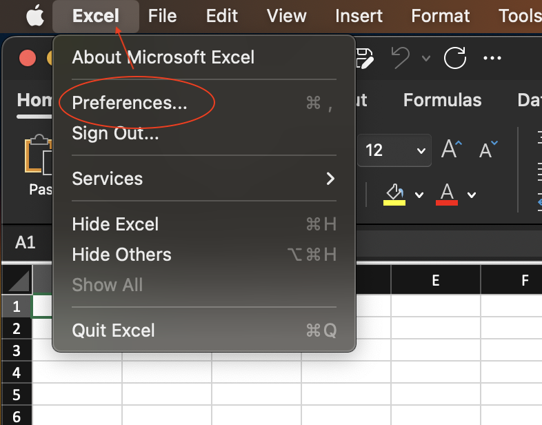 A screenshot showing the Preferences in Excel.