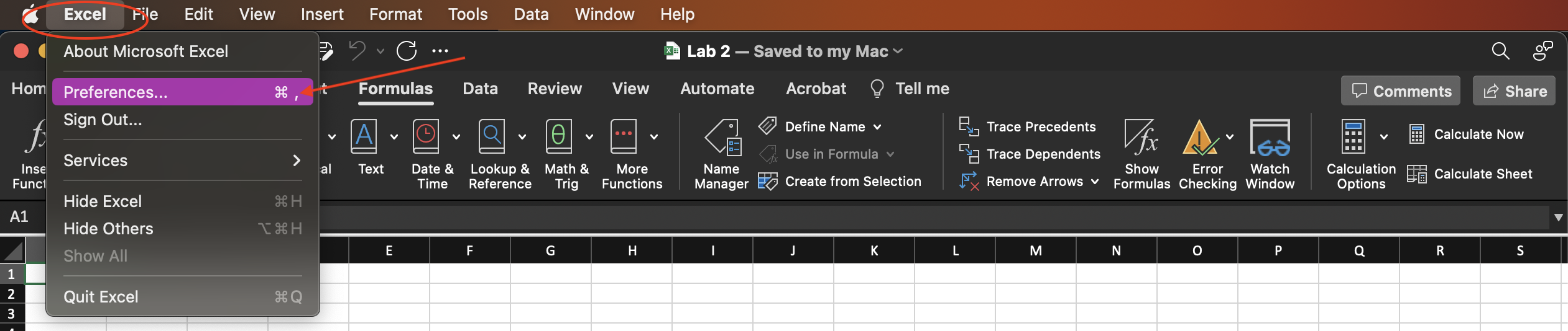 A screenshot Sub-menu Preferences in the Excel Menu on a MAC.
