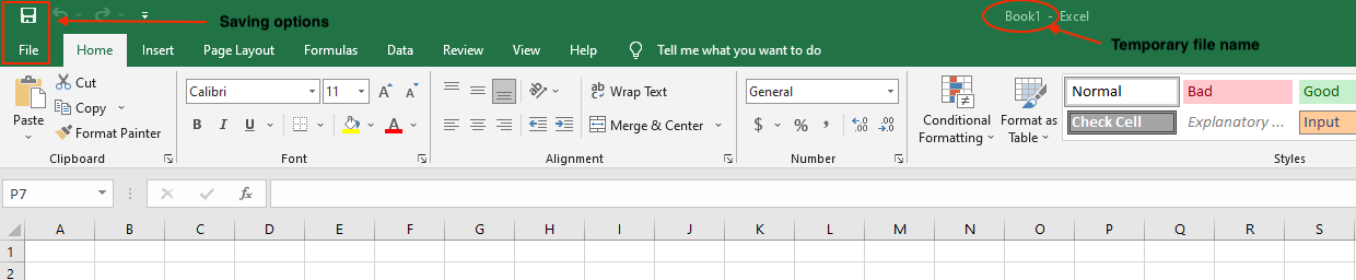 A screenshot displaying saving options in Excel.