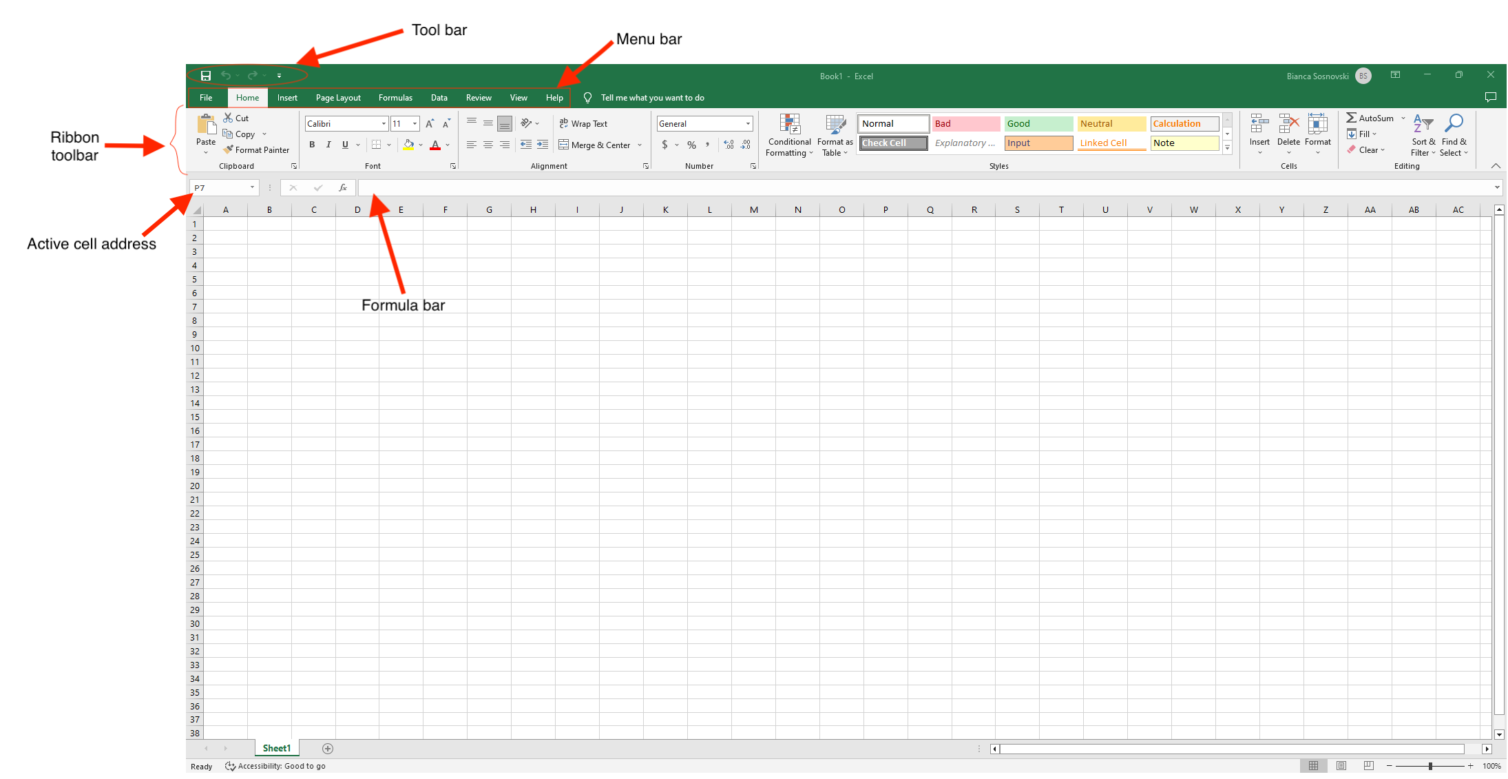 Excel Window as shown on a PC.