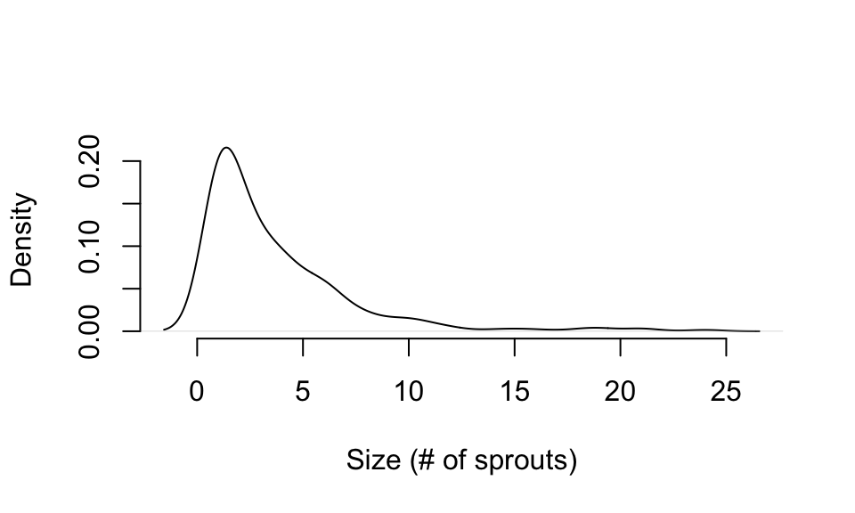 Distribution of size in Cypripedium candidum
