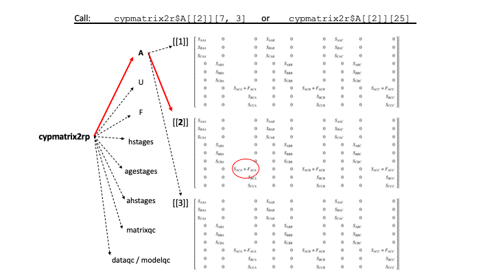  Organization of a lefkoMat object, and how to call a specific element