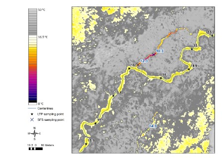 Example of airborne thermal infrared imagery showing temperature contrast in a stream. A cold water inflow (purple and blue colors) enters the main channel (yellow color). Figure from NV5 Geospatial consultants report.