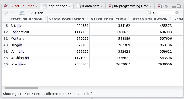 The data viewing tab in RStudio.