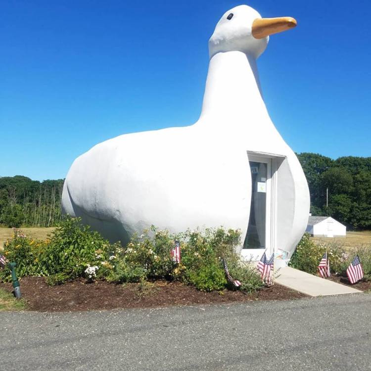 The Big Duck in Flanders, NY
