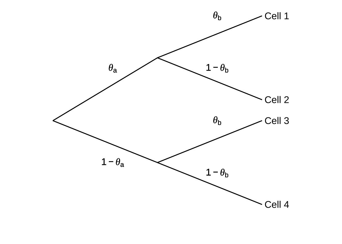 Generic Tree Representation of a Multinomial Model (adapted from Batchelder & Reifer, 1999)