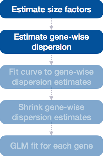 Dispersion Workflow