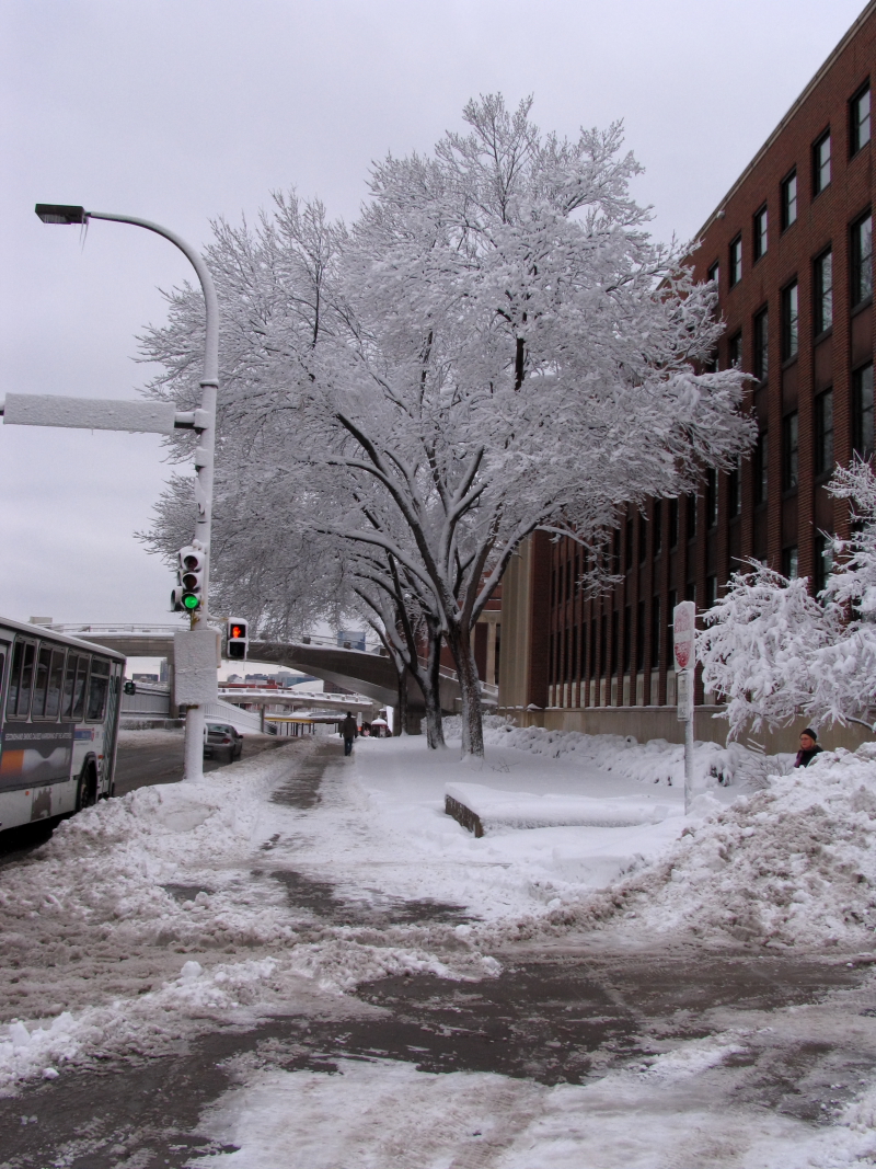 Photograph shows a city street covered in snow and ice.