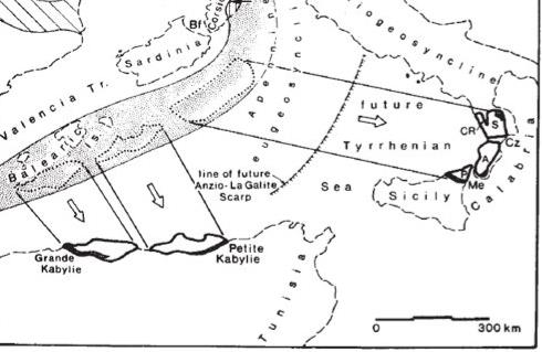 Schema geologico-strutturale semplificato del sistema Appennino meridionale Arco Calabro (modificato da DEWEY et al.,1989).