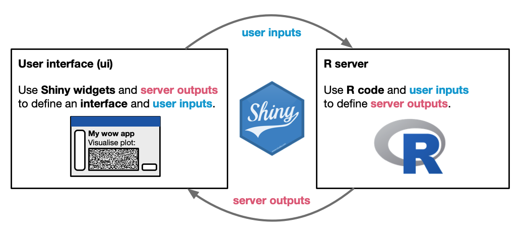 Shiny apps are based on the interaction between a user interface (ui) and an R server.