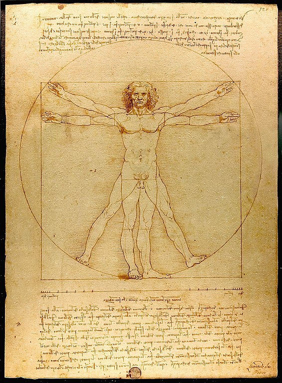The Vitruvian Man by Leonardo da Vinci, around 1490. (Photograph by Luc Viatour/Lucnix.be.)