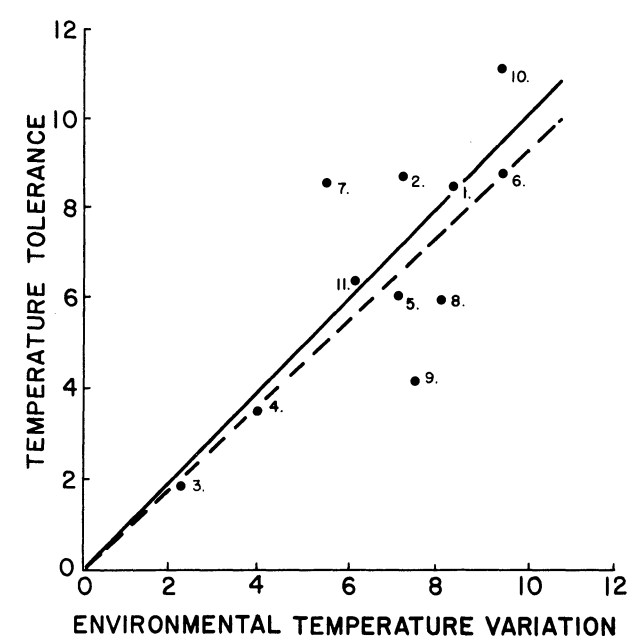 The relation of increase in range of temperature tolerance and increase in environmental temperature variation (see text for methods of determining these values). The continuous line is a line of equality relating increase in temperature tolerance and environmental temperature variation. The dashed line has been fitted to the data with the method of least squares. The numbers indicate the species included. These are: 1) Bufo alvarius, 2) *B. debilis*, 3) *B. marinus*, 4) *B. marmorcus*, 5) *B. mazatlanensis*, 6) *Hyla regina*, 7) *H. smithi*, 8) *Leptodactylus melanolus*, 9)*Pternohyla fodiens*, 10) *Scaphiopus hammondi*, 11) *Smilisca baudini*. (From Snyder, G.K. and W.W. Weathers, 1975, p. 98).