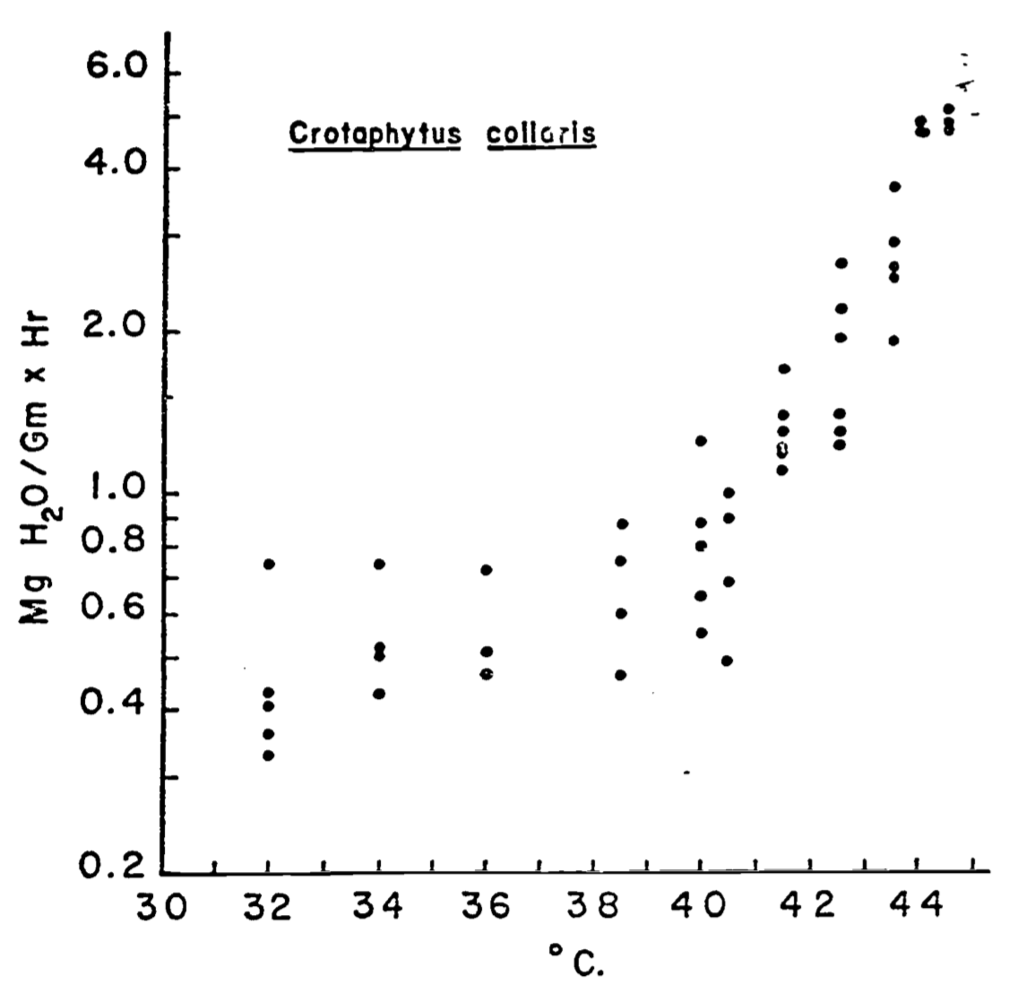 Relation of evaporative water loss to ambient temperature in collared lizards weighing 25-35g. Data represent minimal values at various temperatures for animals studied. (From Dawson, W.R., and J.R. Templeton. 1963. P. 231.)