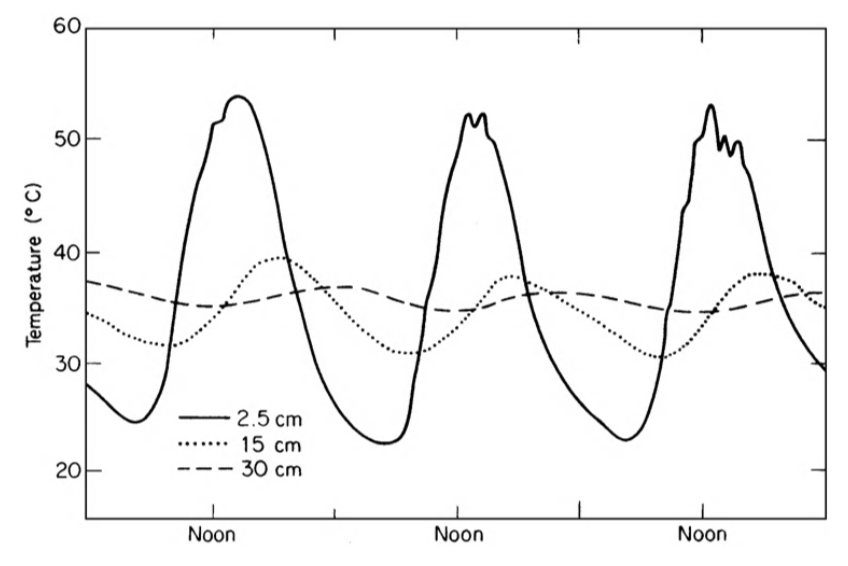 Diurnal course of temperature at three depths in a sandy loam beneath a bare uncultivated surface; Grifith, New South Wales, 17-19 January, 1939 (from Monteith 1973).