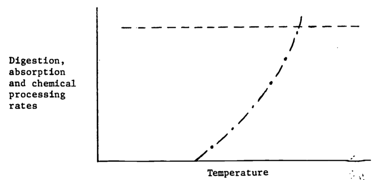 Digestion, absorption and chemical processing rates as a function of temperature for an endotherm (---) and an ectotherm (- $\cdot$ -).