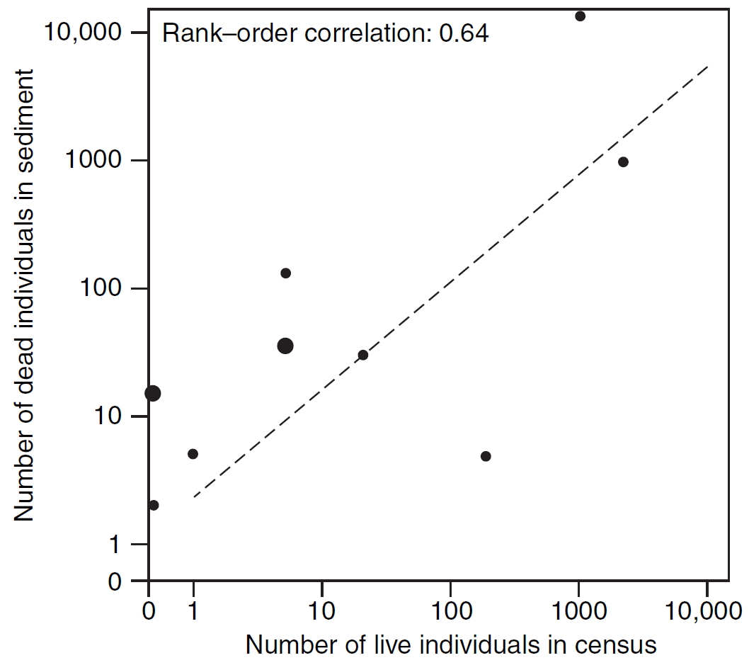 Comparación de abundancias de especies en comunidades vivas y sus restos subfósiles en un arroyo de marea en California. El gráfico muestra que las especies más abundantes en la muestra viva también tienden a ser más abundantes en la muestra de conchas muertas, con abundancias muertas generalmente más altas que las vivas. Este análisis es clave para comprender la relación entre las comunidades vivas y los fósiles. Imagen tomada de Foote & Miller (2007).