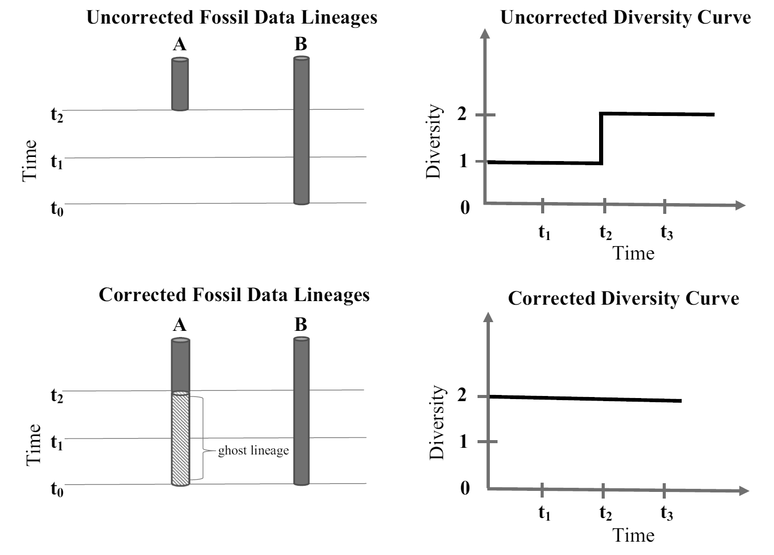 Datos corregidos mediante el modelo filogenético con la inclusión de la línea fantasma para el taxón A. Obsérvese la diferencia entre las curvas de paleodiversidad corregida y no corregida. Imagen tomada de  Bokulich (2021).