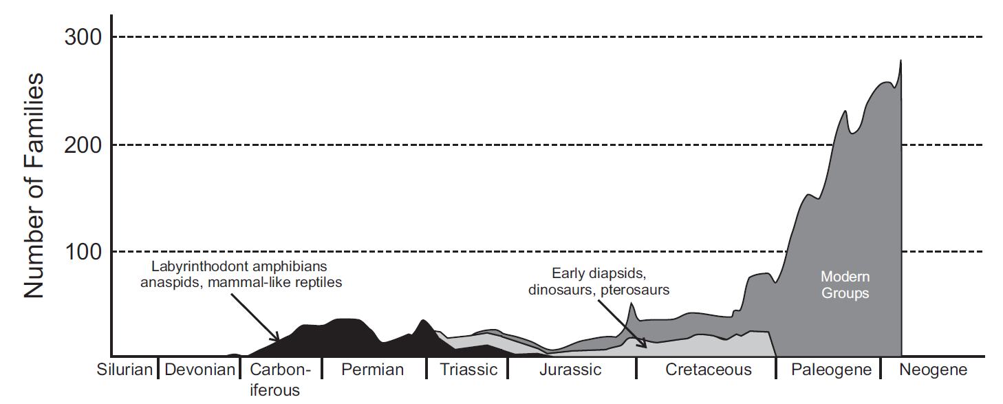 Cambios en la diversidad de especies a lo largo del tiempo de los principales grupos de tetrapodos terrestres.Dentro de los grupos modernos se incluye a ranas, salamandras, lagartos, serpientes, tortugas, cocodrilos, aves y mamíferos. Imagen tomada de Cleal & Cascales-Miñana (2014)