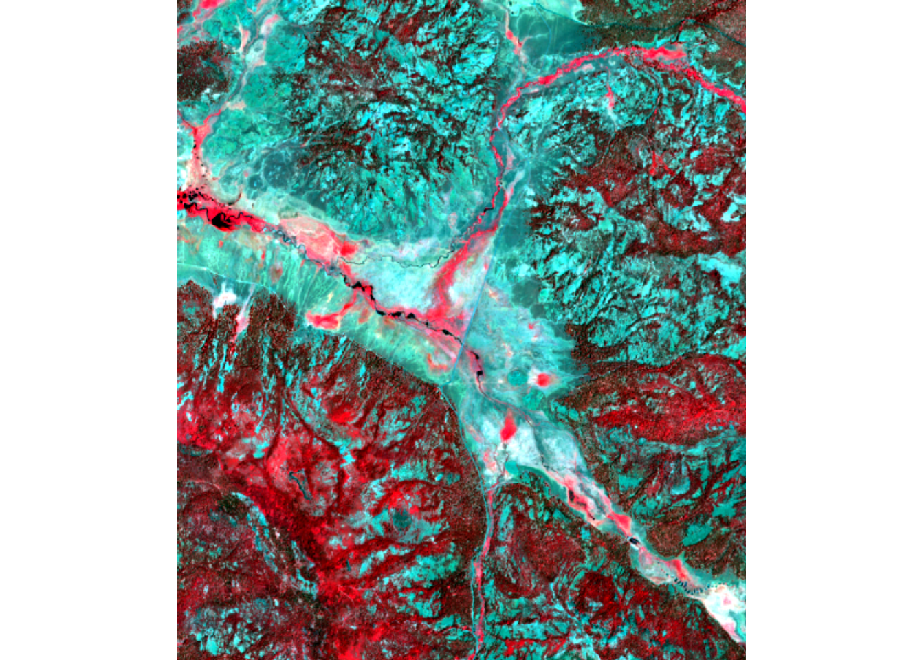 NIR-R-G image from Sentinel-2 of Red Clover Valley, 20210628.