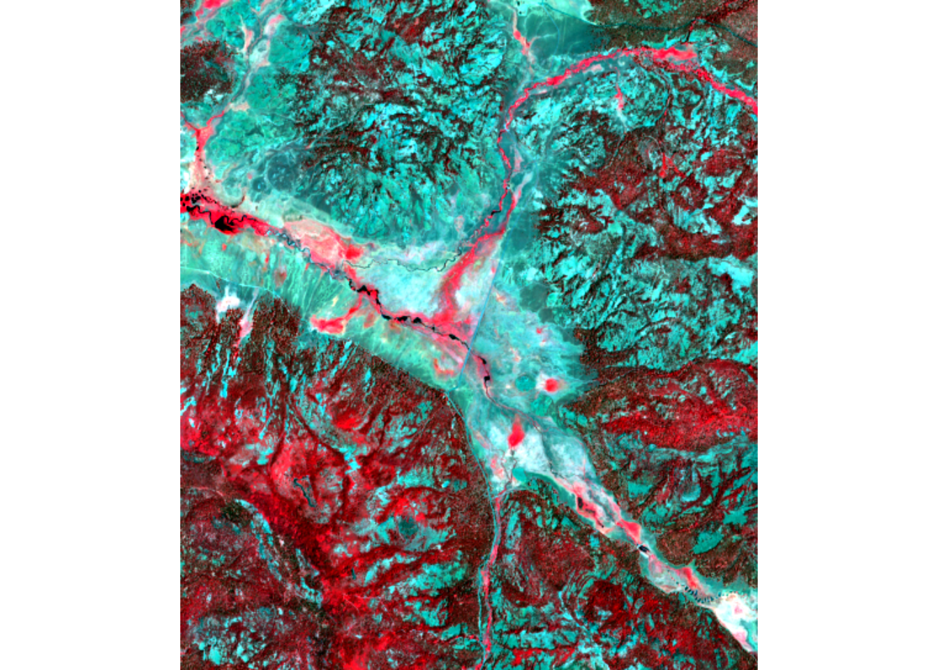 NIR-R-G image from Sentinel-2 of Red Clover Valley, 20210628.