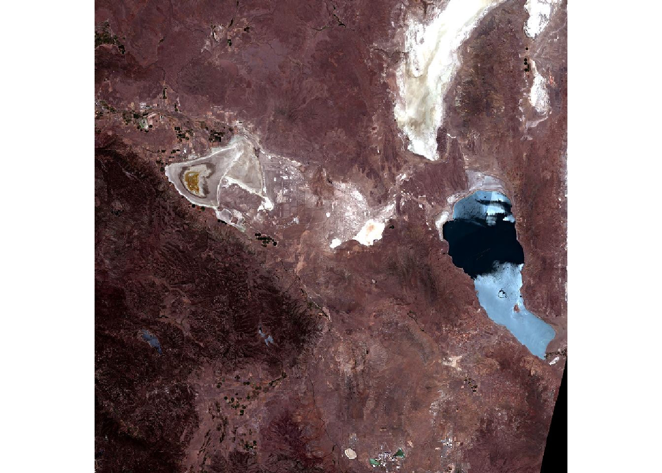 False-color (IR-R-G as RGB) orthomap visualization of Sentinel-2 imagery