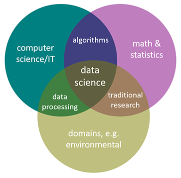 Environmental data science