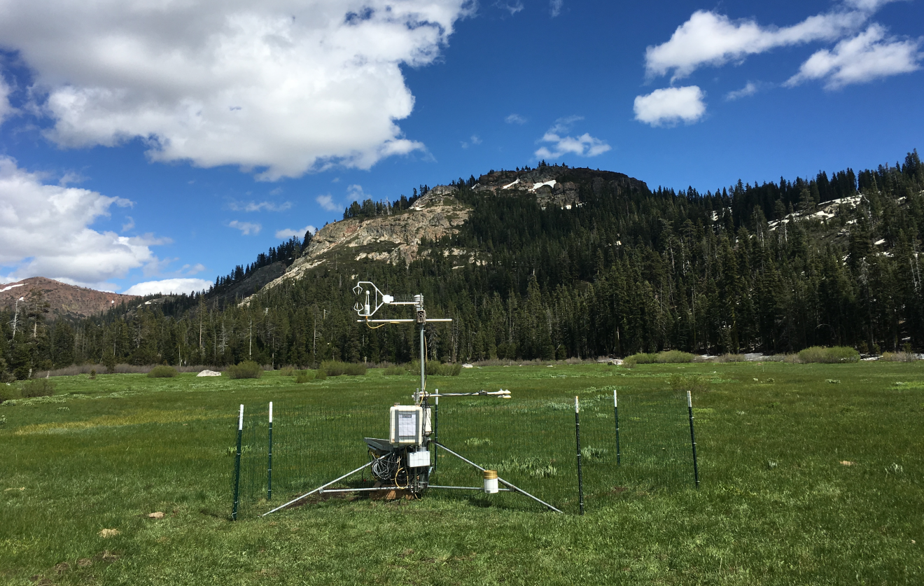 Flux tower installed at Loney Meadow, 2016. Photo credit: Darren Blackburn