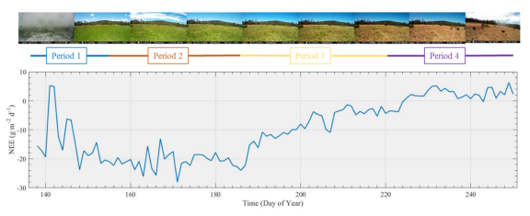 Loney Meadow net ecosystem exchange (NEE) results