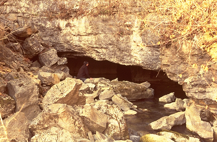 Sinking Cove Cave spring