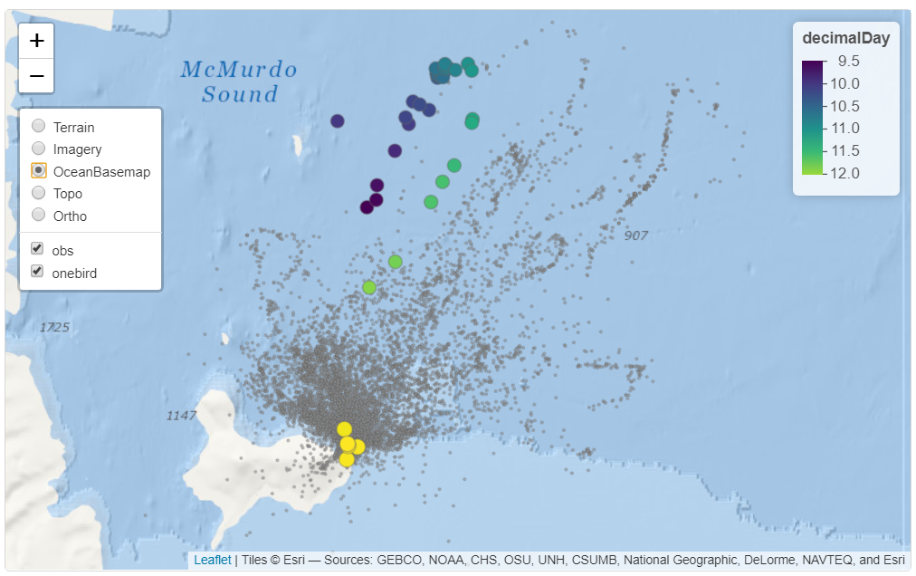 Observations of Adélie penguin migration from a 5-season study of a large colony at Ross Island in the SW Ross Sea, Antarctica; and an individual -- H36CROZ0708 -- from season 0708. Data source: Ballard et al. (2019). Fine-scale oceanographic features characterizing successful Adélie penguin foraging in the SW Ross Sea. Marine Ecology Progress Series 608:263-277.