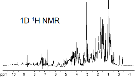 1D H NMR Example