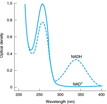 Absorbance of NAD and NADH