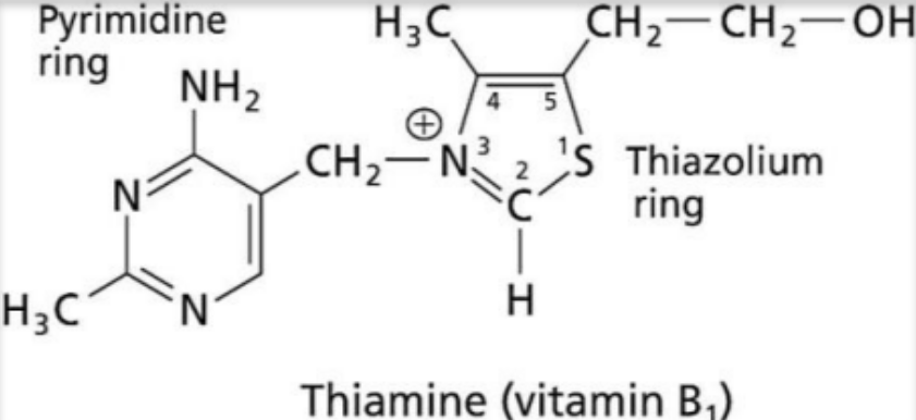 Structure of Vitamin B1