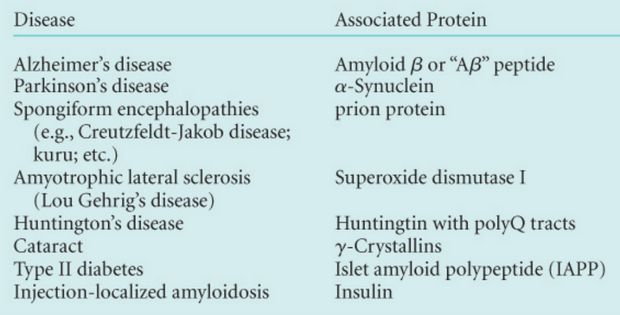 Diseases Associated with Amyloid Formation