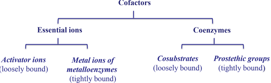 Classes of Cofactors